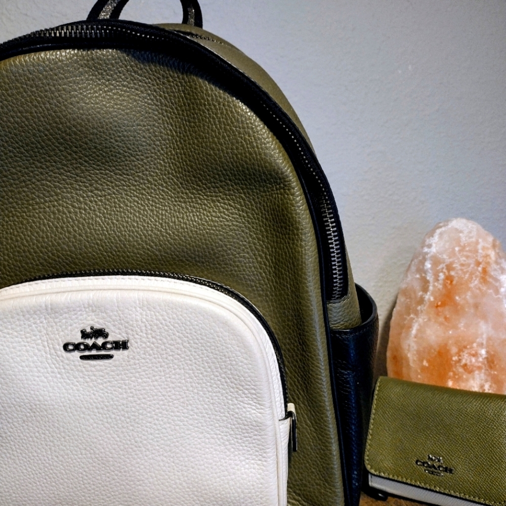 Coach backpack and matching wallet